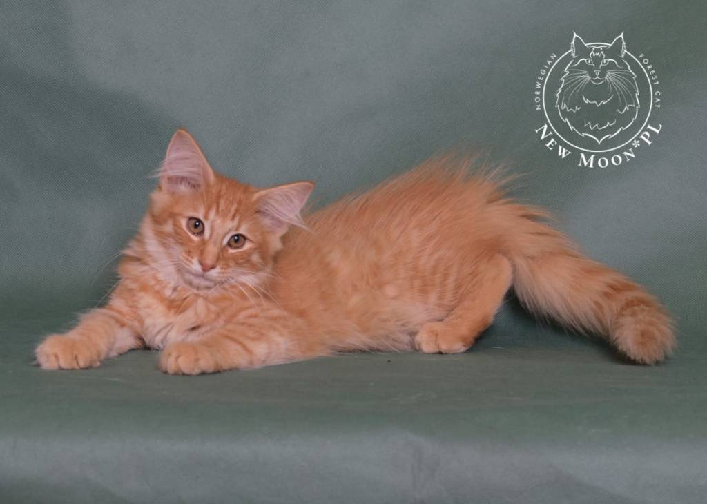 b4f7d822-d27b-4efc-a6e8-c55c38d3517d